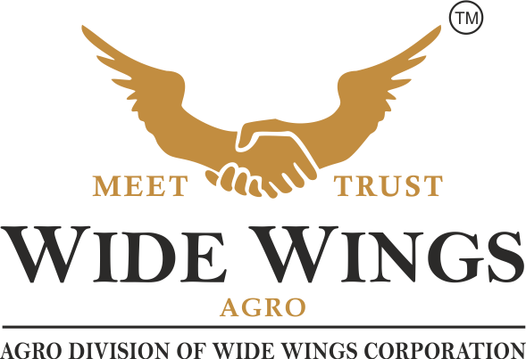 Wide Wings Corporation